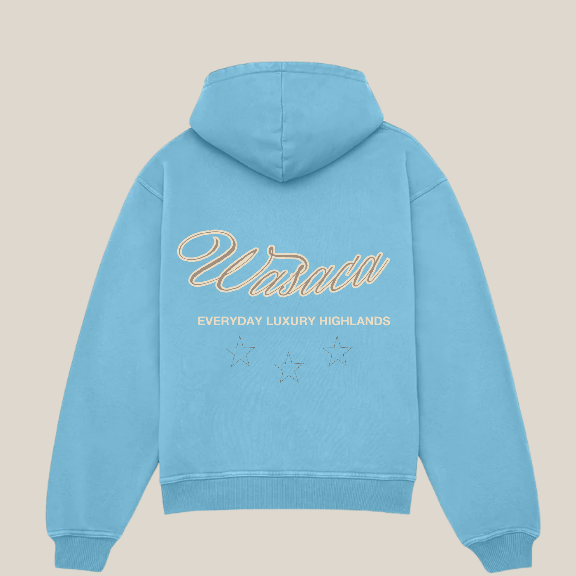 F&F HERITAGE BLUE HEAVY HOODIE - Main Image