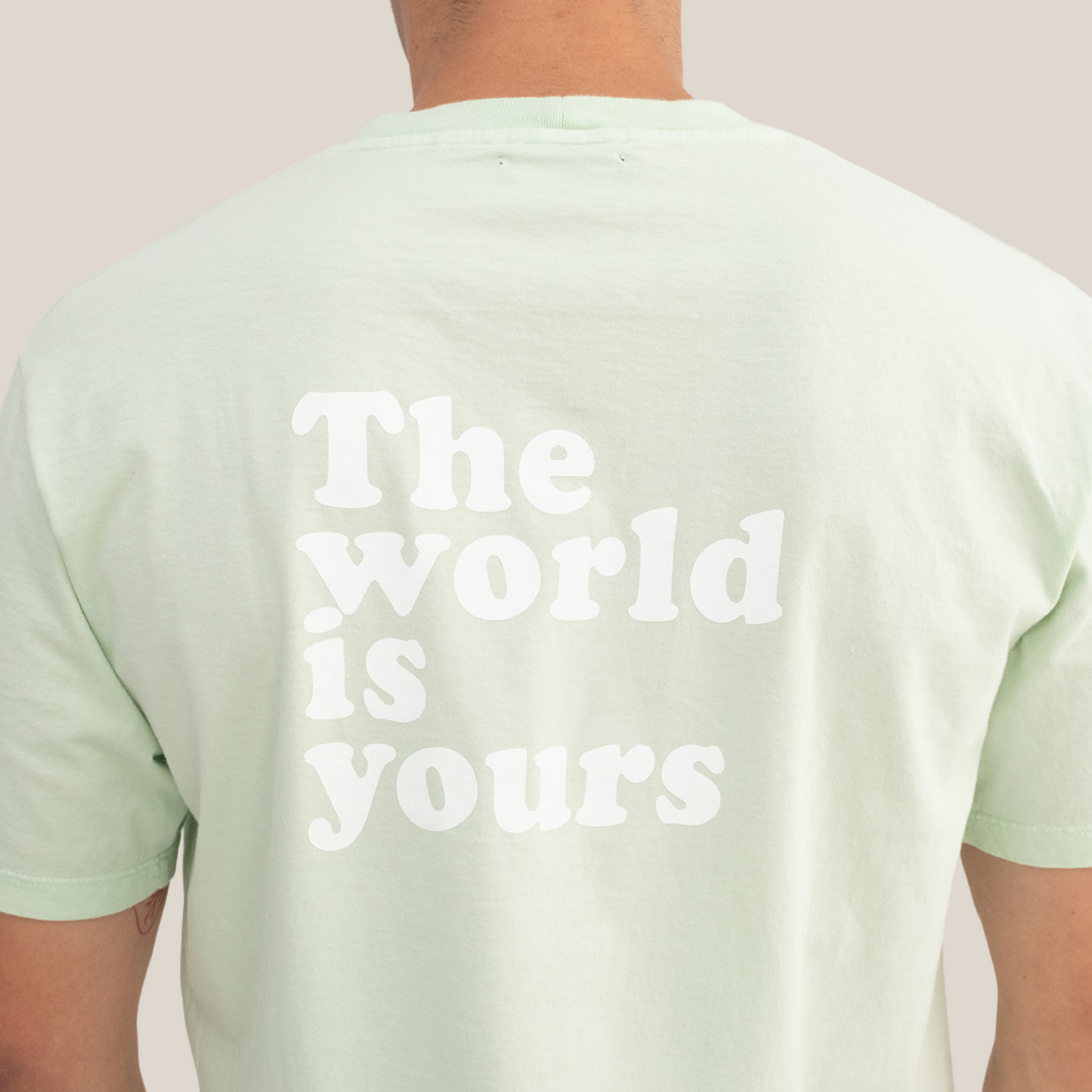 THE WORLD IS YOURS REGULAR T-SHIRT